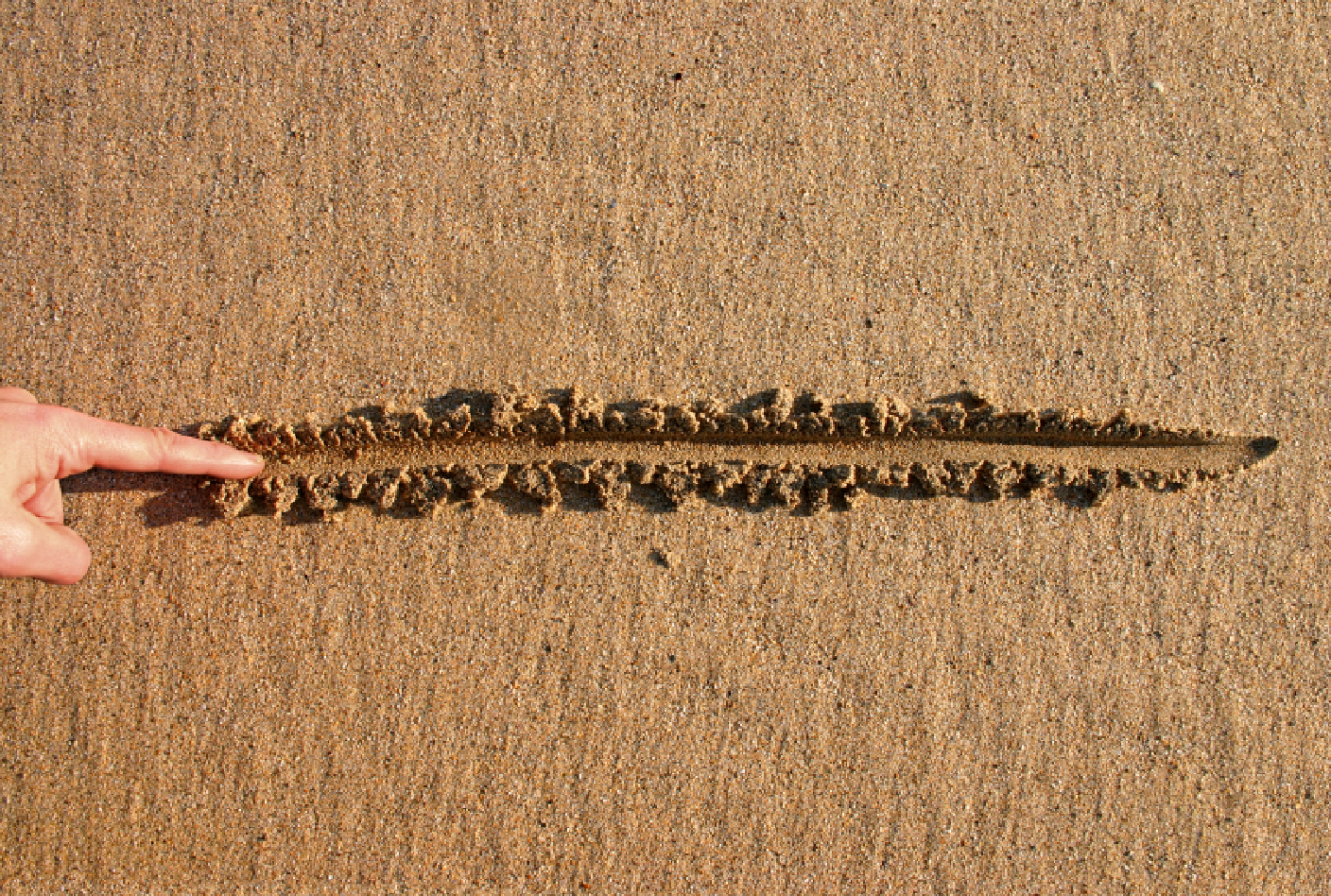 The Power Of Drawing A Leadership Line In The Sand Scott Cochrane